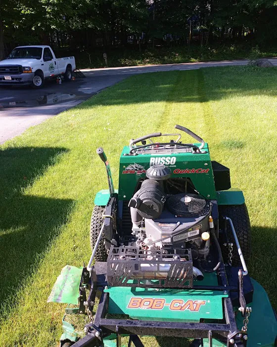 Green to Green Lawn Care LLC Picture 6