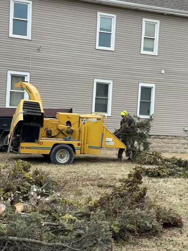 HPM Landscaping Picture 3