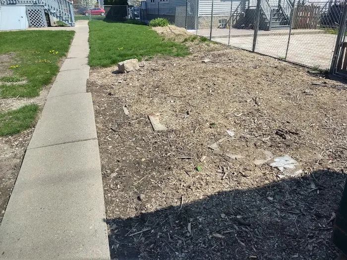 Rodriguez Landscape Company Picture 3
