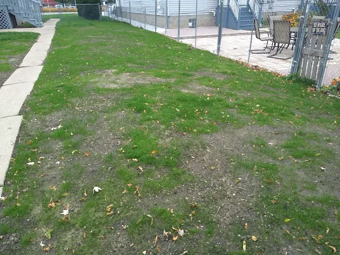 Rodriguez Landscape Company Picture 4