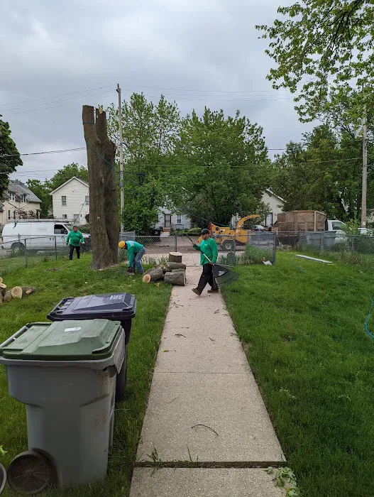 Rodriguez Landscape Company Picture 5