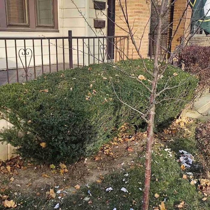 LawnStarter Picture 1