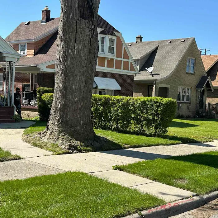 LawnStarter Picture 8