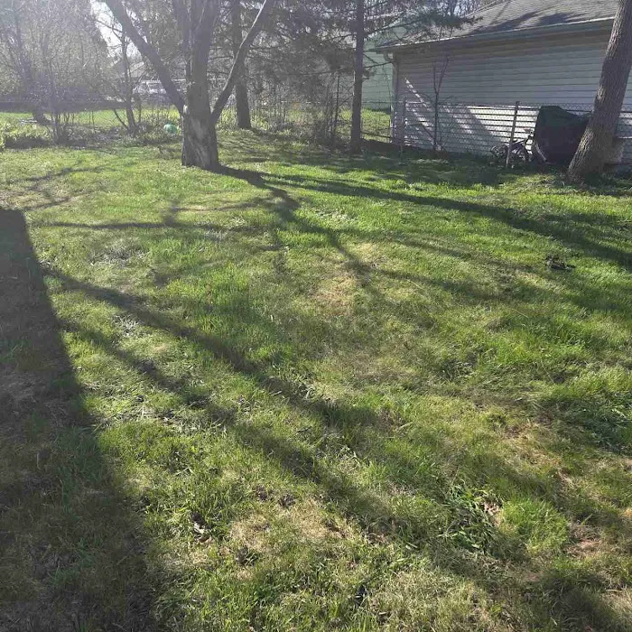 LawnStarter Picture 6