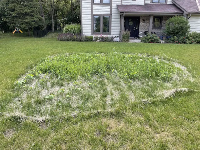 Precision Landscape Services, LLC Picture 10