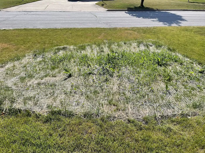Precision Landscape Services, LLC Picture 9