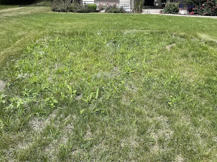 Precision Landscape Services, LLC Picture 3