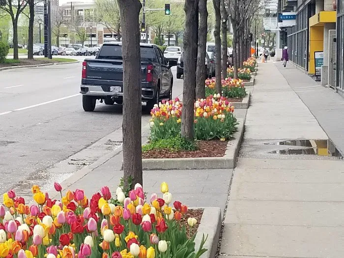 Precision Landscape Services, LLC Picture 6