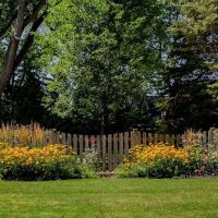 Greenwise Organic Lawn Care of Milwaukee ico