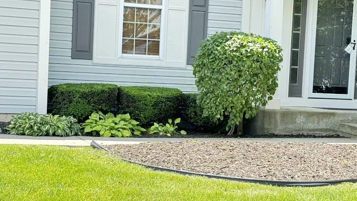 ALL STARS LANDSCAPING LLC Picture 8