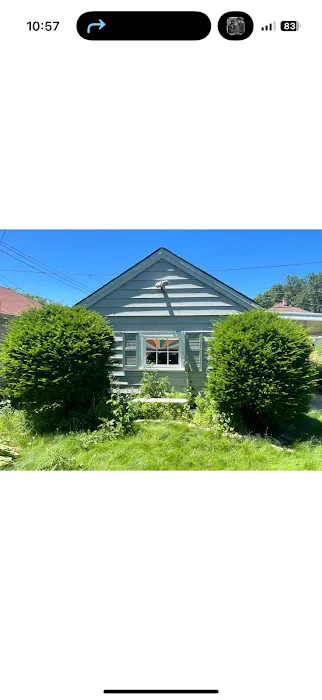 Moss & Petal Lawn Care Picture 6