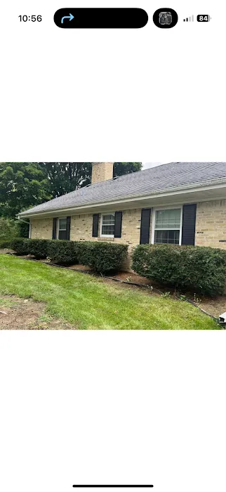 Moss & Petal Lawn Care Picture 9