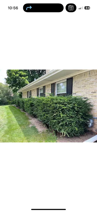 Moss & Petal Lawn Care Picture 7
