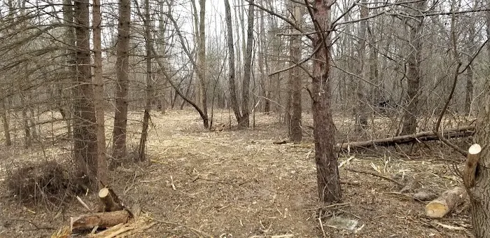 EGM Landscape Picture 1