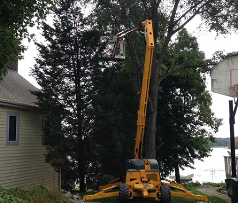 Lake Country Landscaping Inc Picture 5