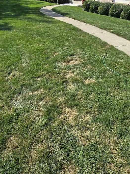 Naturescape Lawn and Landscape Care Picture 6