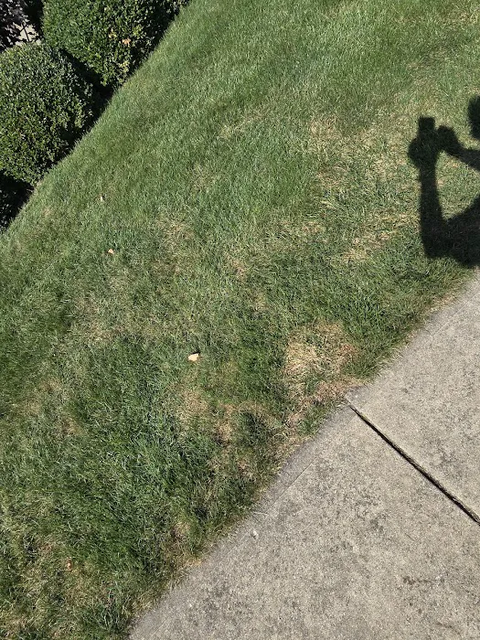 Naturescape Lawn and Landscape Care Picture 8