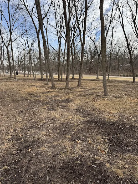 Hanson’s Lawn Maintenance LLC Picture 5