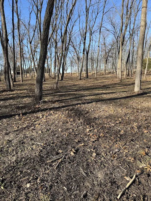 Hanson’s Lawn Maintenance LLC Picture 4