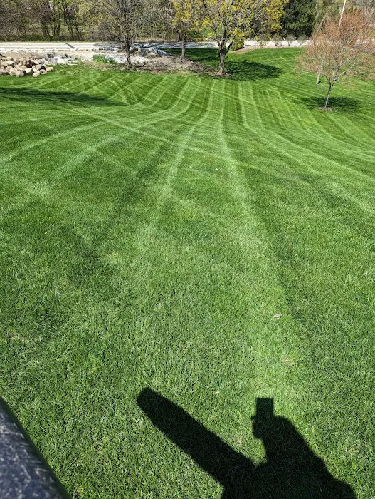 wislawn Picture 3