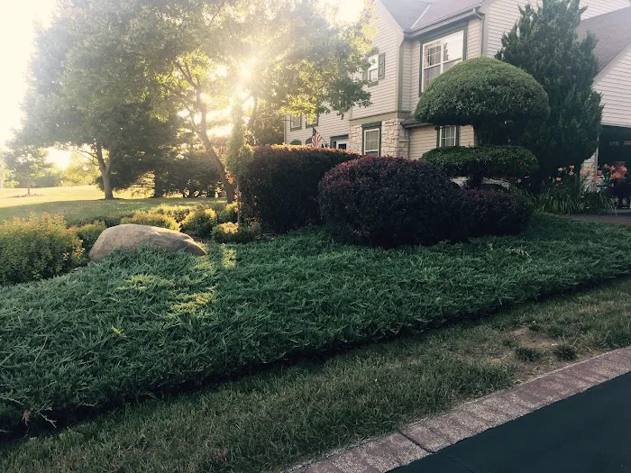 wislawn Picture 2