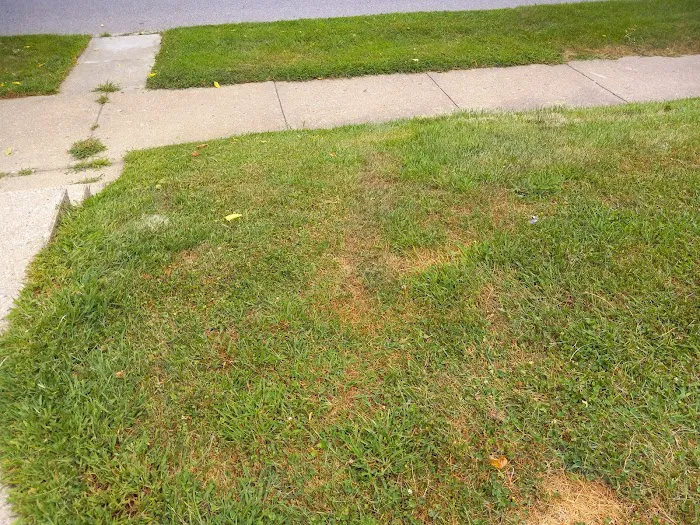 Exterior View Inc Picture 8