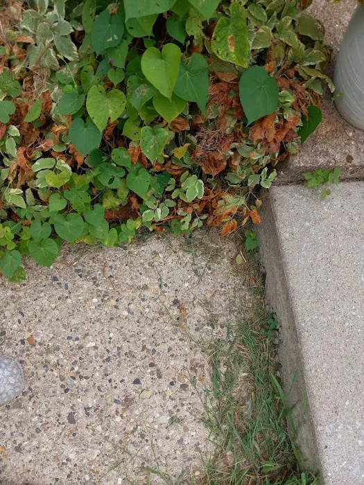 Exterior View Inc Picture 7