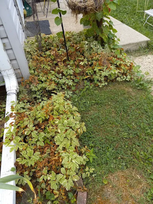 Exterior View Inc Picture 9