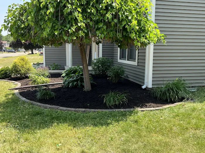Betos landscaping.LLC Picture 1