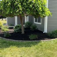 Betos landscaping.LLC ico