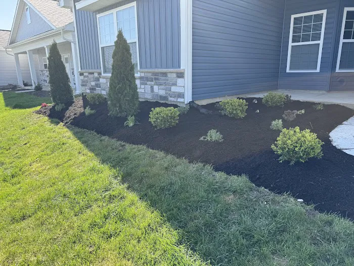 Betos landscaping.LLC Picture 6