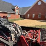 Alternative Edge Landscaping