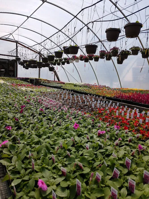 Musall's Lawn, Garden & Landscape Center Picture 8