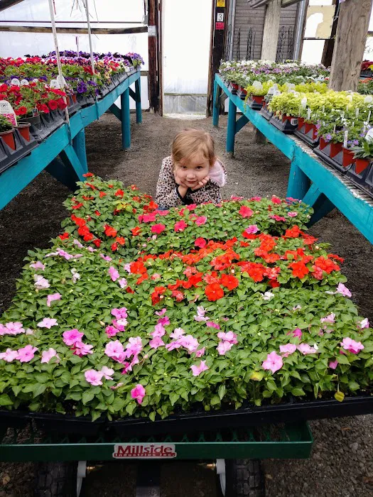 Musall's Lawn, Garden & Landscape Center Picture 2