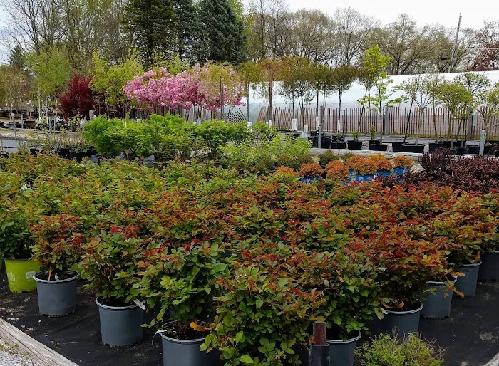 Musall's Lawn, Garden & Landscape Center Picture 4