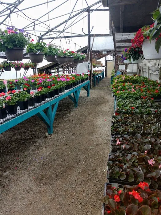 Musall's Lawn, Garden & Landscape Center Picture 3