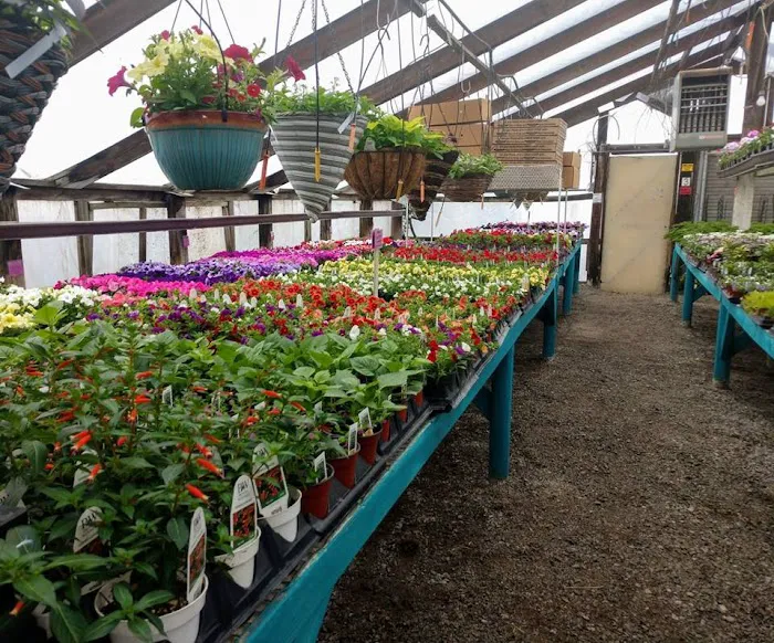 Musall's Lawn, Garden & Landscape Center Picture 5