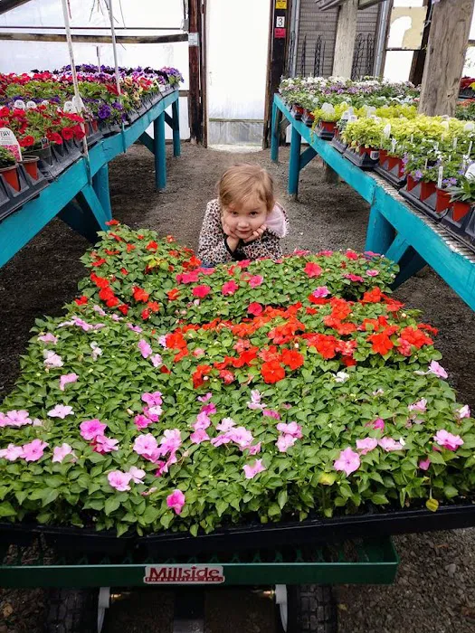 Musall's Lawn, Garden & Landscape Center Picture 10