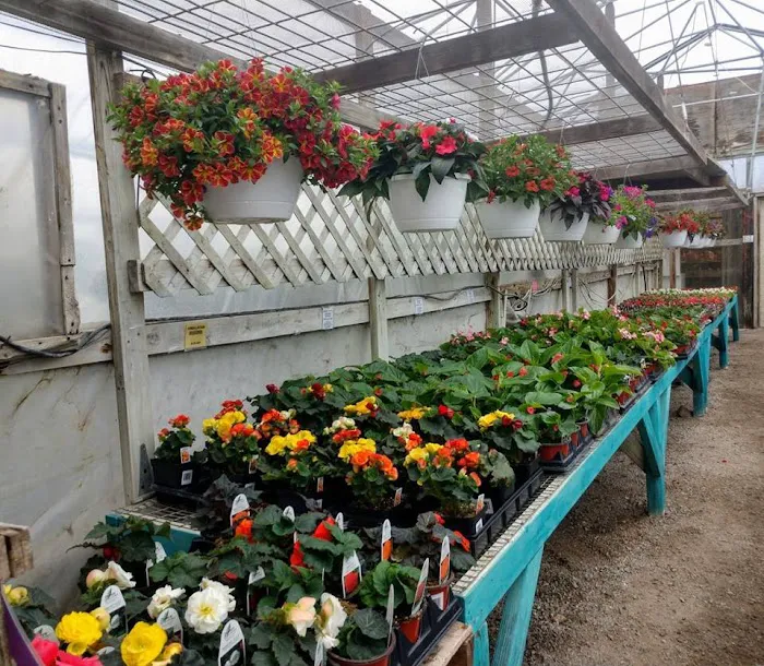 Musall's Lawn, Garden & Landscape Center Picture 9