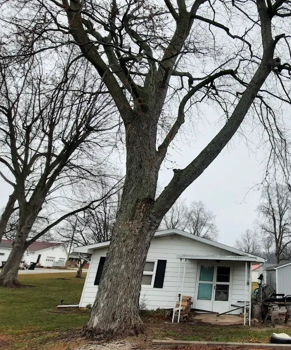 D 2 Lawn & Tree Services Picture 5