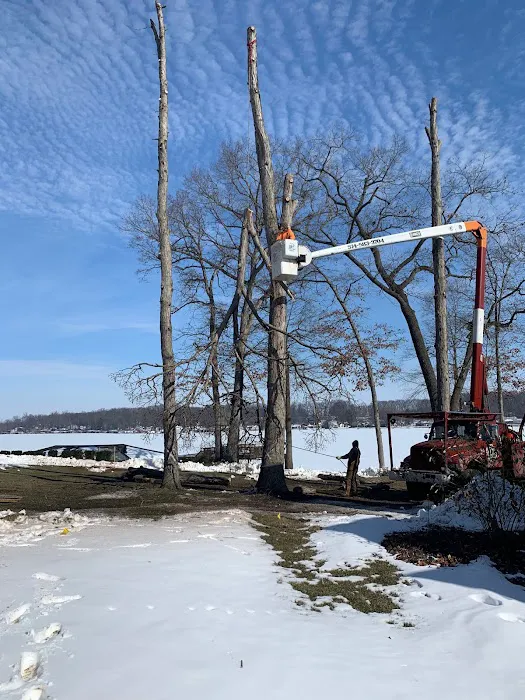 D 2 Lawn & Tree Services Picture 10
