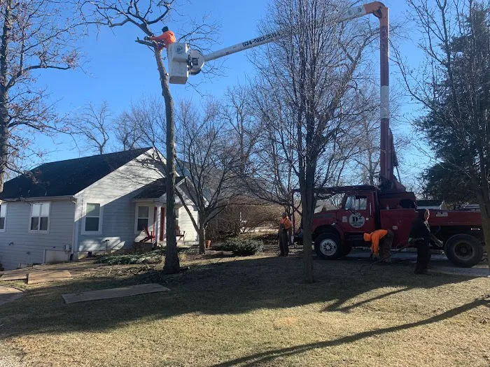 D 2 Lawn & Tree Services Picture 6