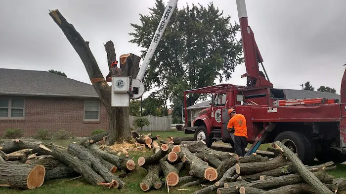 D 2 Lawn & Tree Services Picture 8