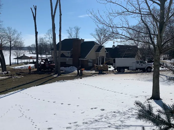 D 2 Lawn & Tree Services Picture 9