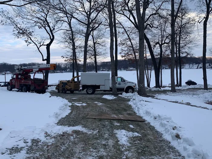 D 2 Lawn & Tree Services Picture 4