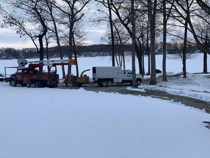 D 2 Lawn & Tree Services Picture 1