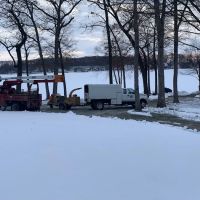 D 2 Lawn & Tree Services ico