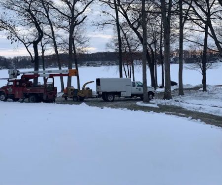 D 2 Lawn & Tree Services