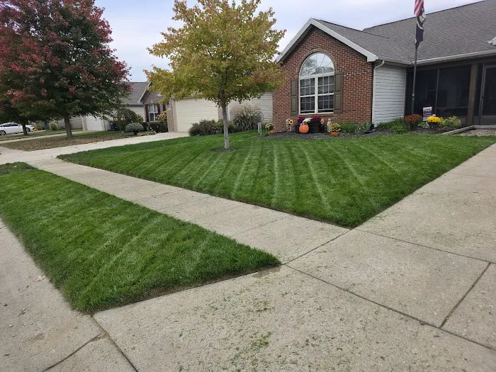 Shades of Green Lawn and Landscape Picture 8