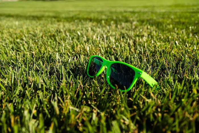 Shades of Green Lawn and Landscape Picture 5
